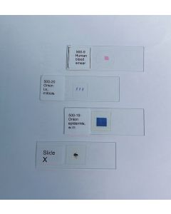 Prepared Microscope Slides