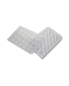 F1004, Well Plate, 24 wells