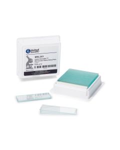 Microscope Slides