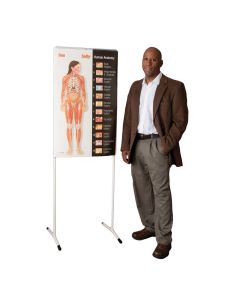 See-Through Sally Human Anatomy Display