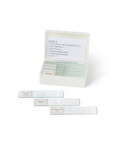  Biology Prepared Slide Set of 13