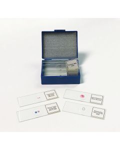 SLD014 Biology Prepared Slide Set of 14