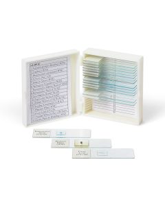 SLD016 Biology Prepared Slide Set of 16