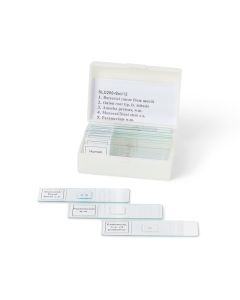 Biology Prepared Slide Set of 12