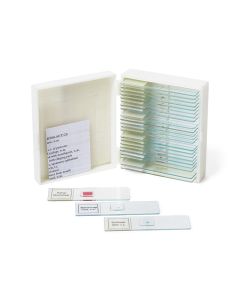 Prepared Slide Set of 25