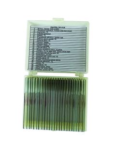 Histology Slide Set of 25