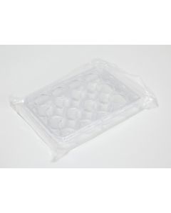 Well Plate, 12 place, Sterile