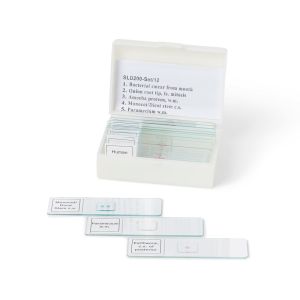 Biology Prepared Slide Set of 12